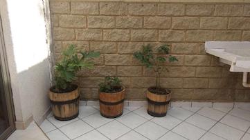 FABRICACIÓN Y COMERCIALIZACIÓN DE BARRICAS